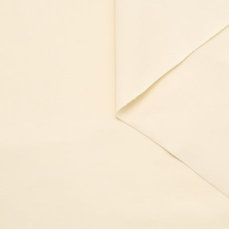 T25M11872 | Gabardine de Coton Elastique GOTS