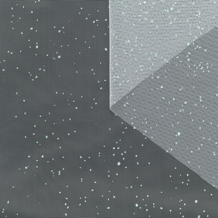 T25M11925 | Tulle à Pois Patilletés - vue 1
