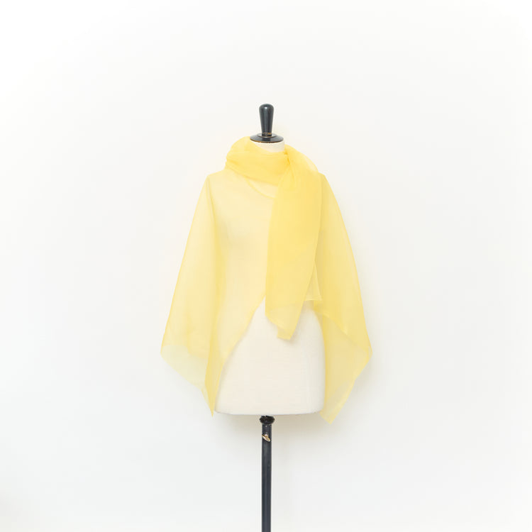 T25M12152 | Organza en Soie - vue 2