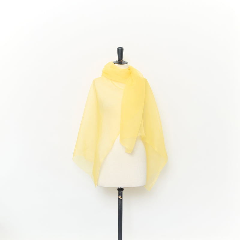 T25M12152 | Organza en Soie