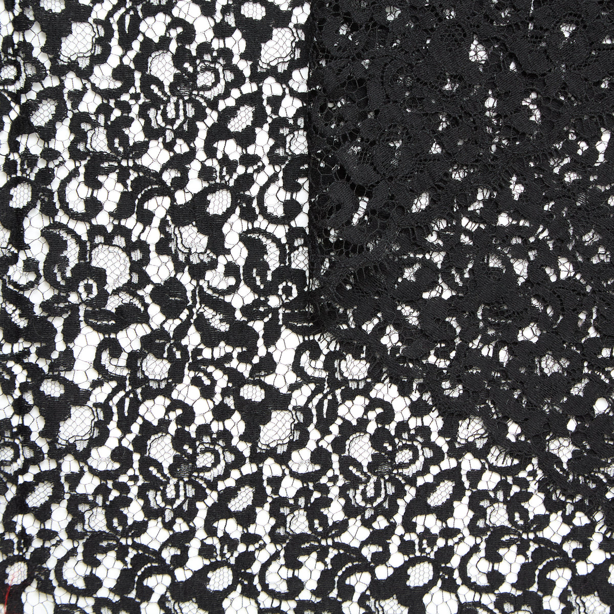 T25M12158 | Dentelle Fleurie