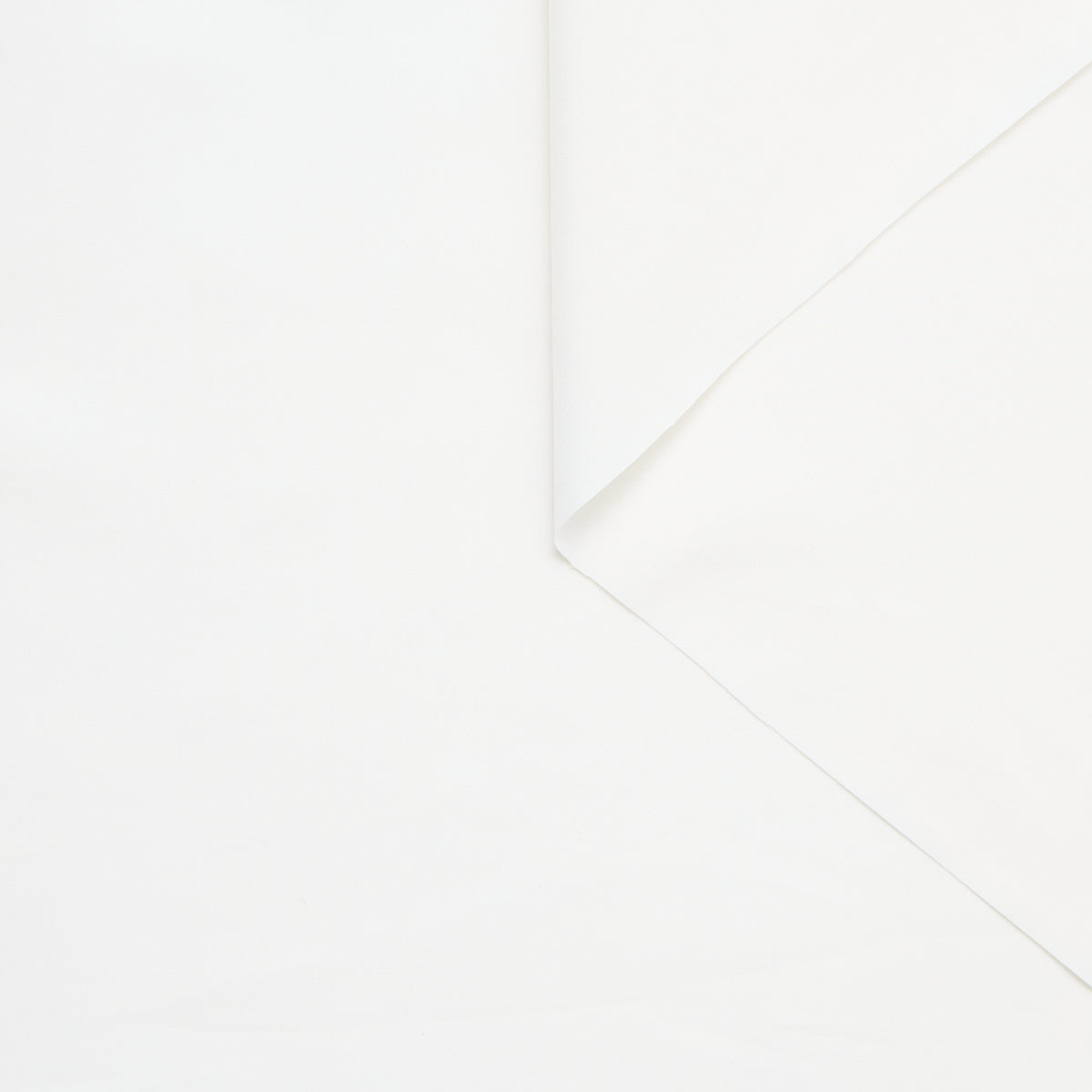 T25M12167 | Poplin en Coton & Soie