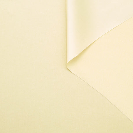 T25M12170 | Satin de Viscose Liquide