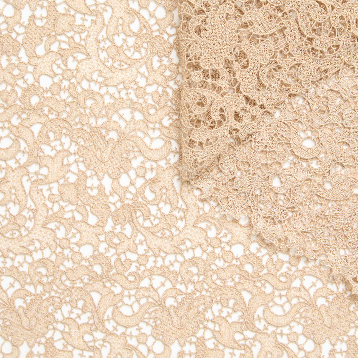 T25M12183 | Guipure Fleurie