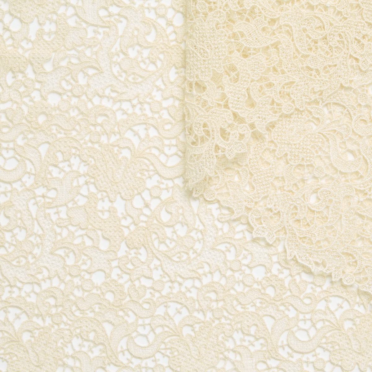 T25M12183 | Guipure Fleurie