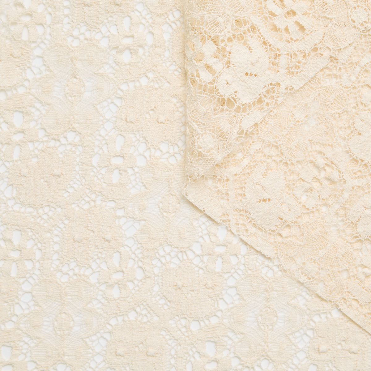 T25M12184 | Dentelle Fleurie