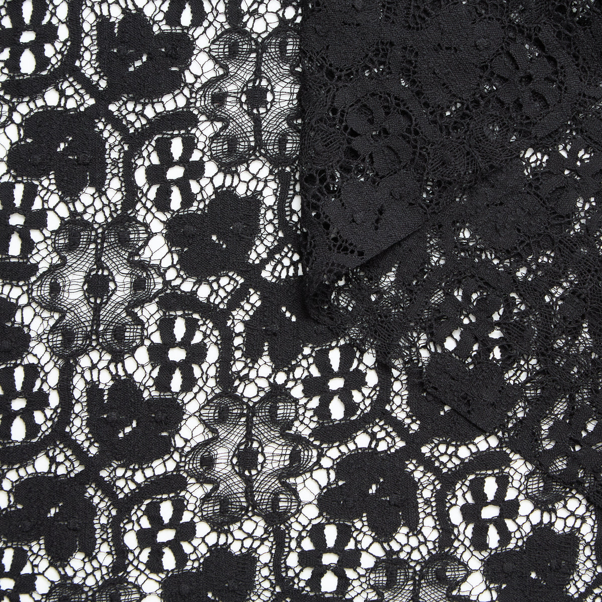 T25M12184 | Dentelle Fleurie