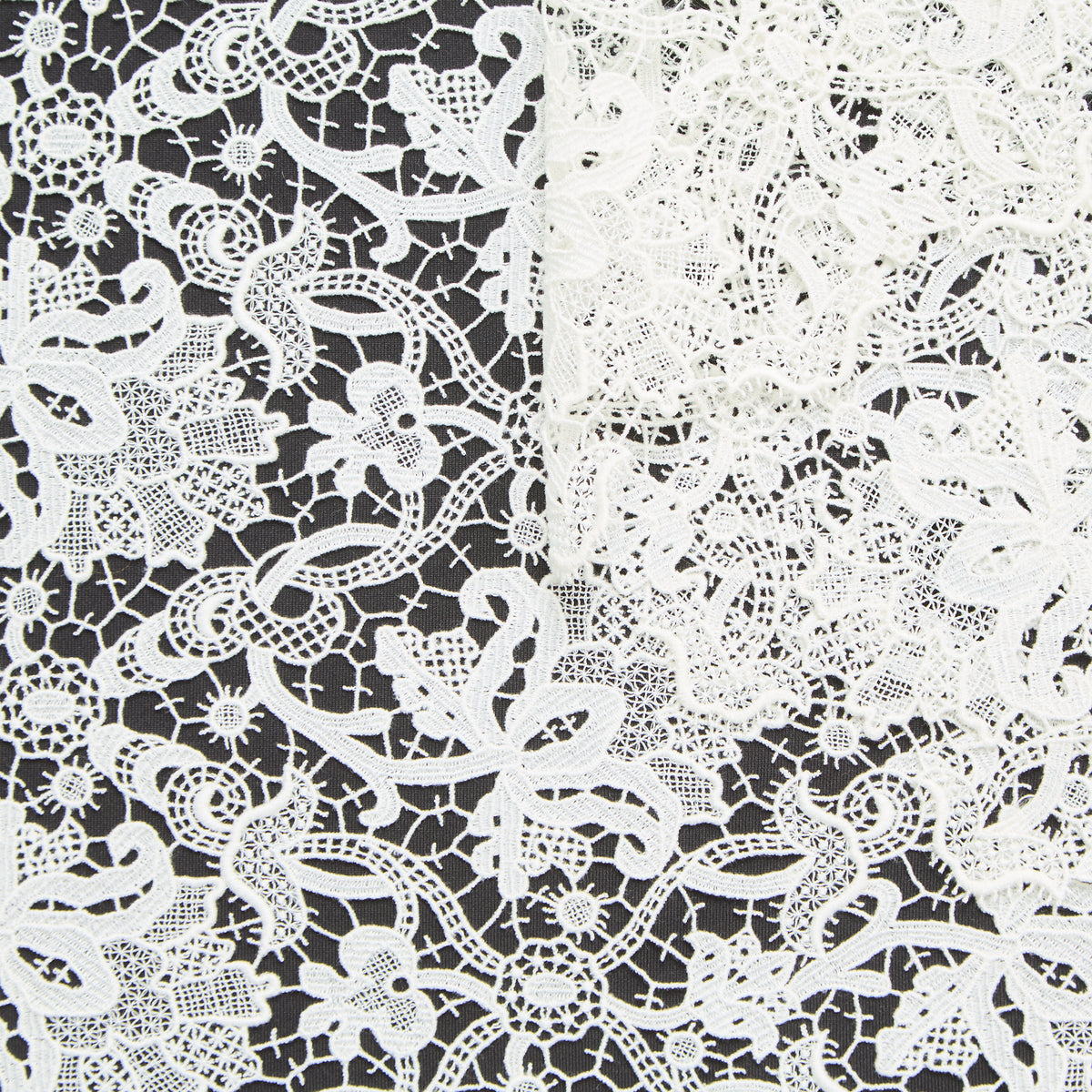 T25M12193 | Guipure Florale en Coton