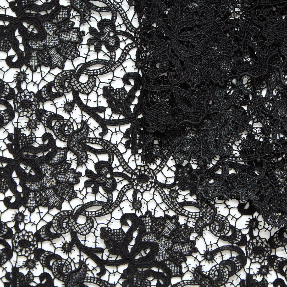 T25M12193 | Guipure Florale en Coton