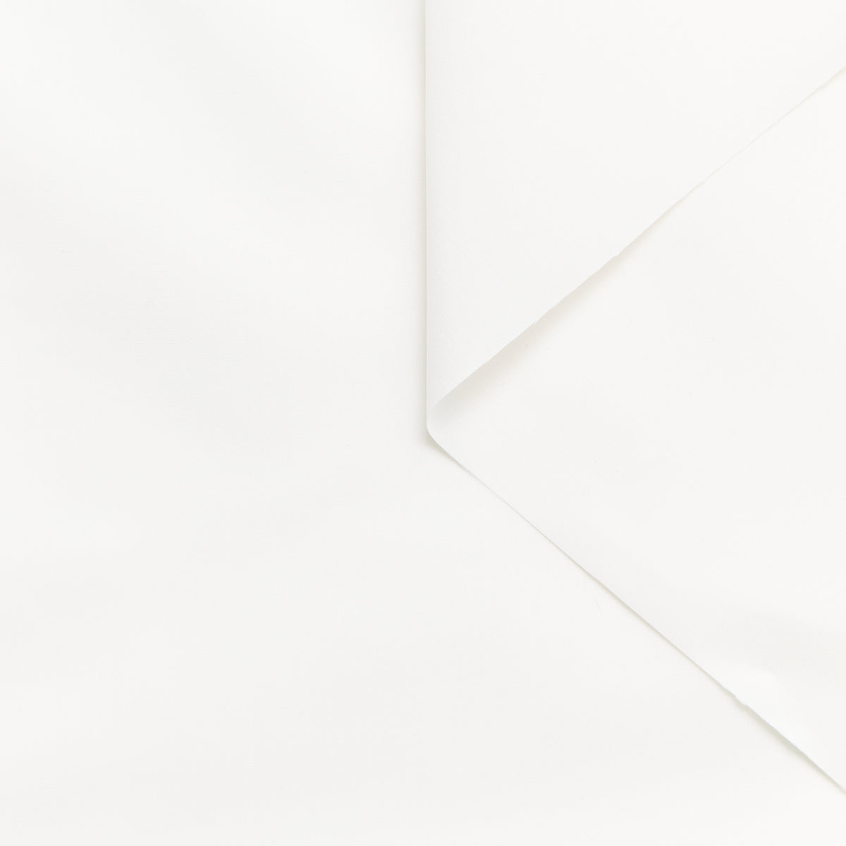 T25M12211 | Cotton & Silk Poplin