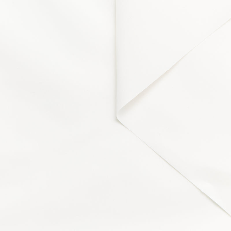 T25M12211 | Cotton & Silk Poplin