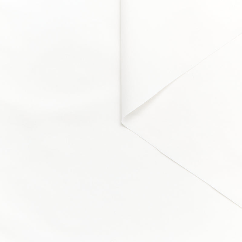 T25M12212 | Cotton & Silk Poplin