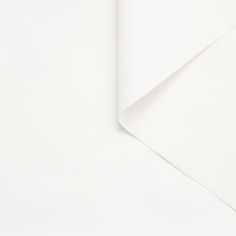 T25M12213 | Faille de Coton et Soie