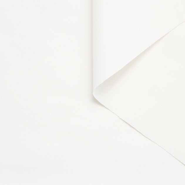 T25M12213 | Faille de Coton et Soie