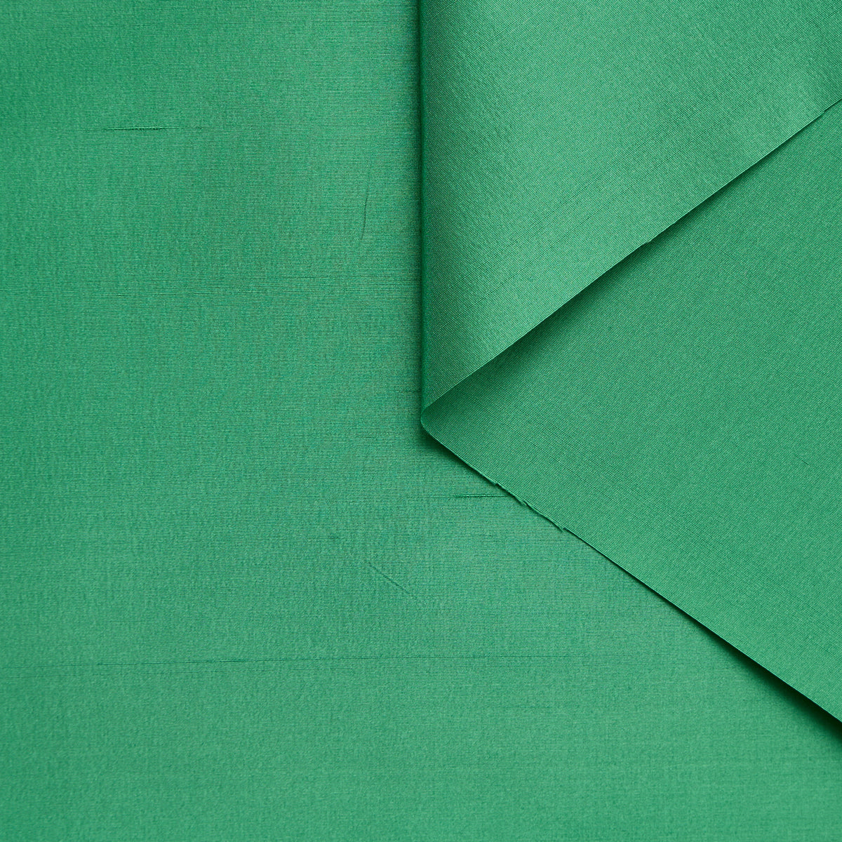 T25M12217 | Slubbed Silk Taffeta