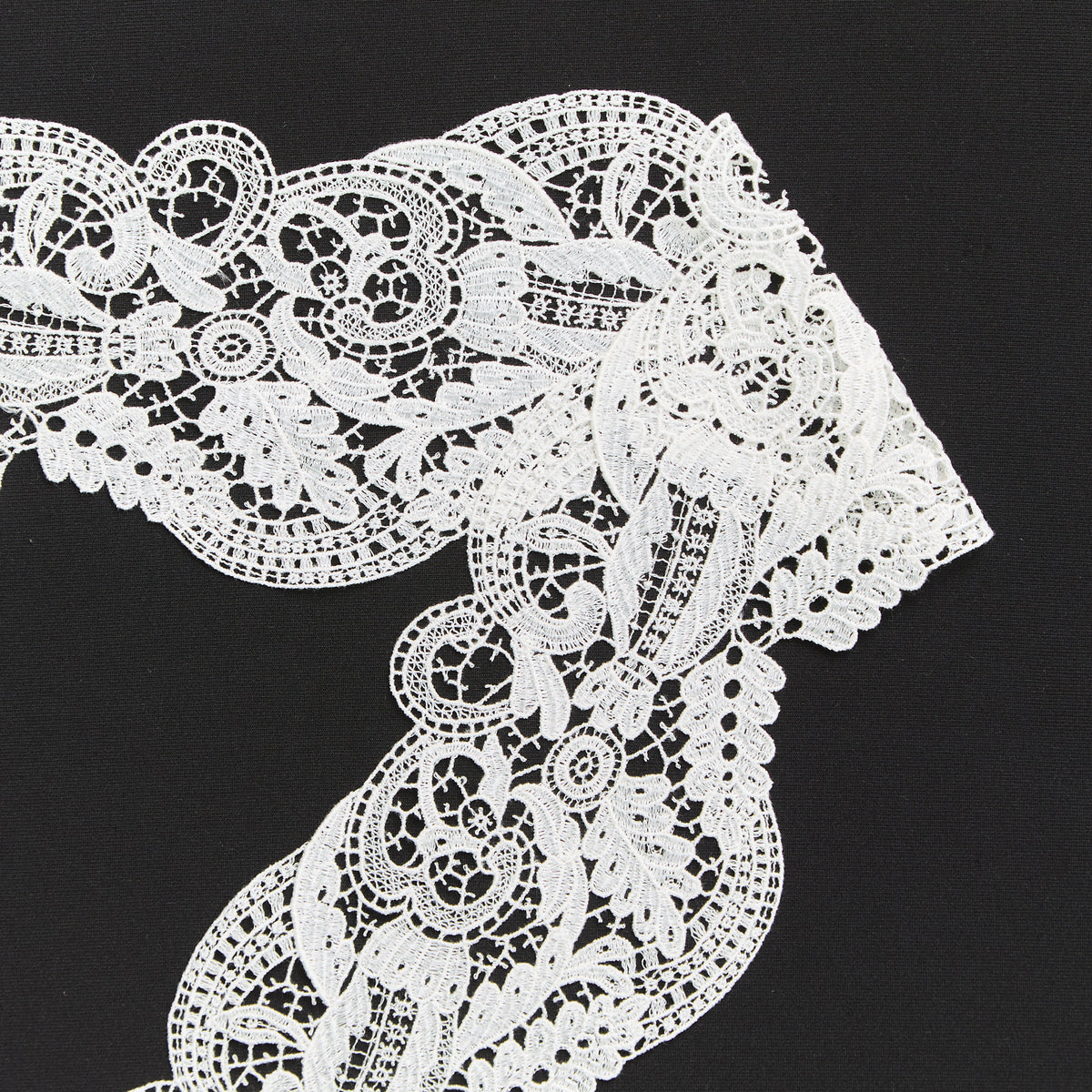 T25M12226 | Gallon en Dentelle Florale en 6cm