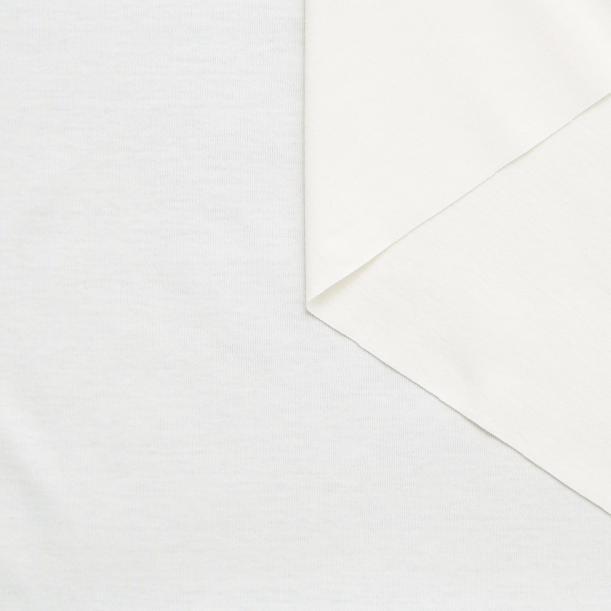 T25M12243 | Jersey de Coton GOTS