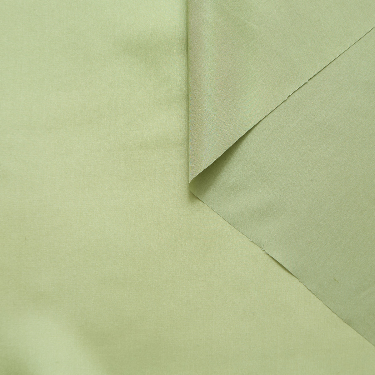 T25M12413 | Silk Pongee