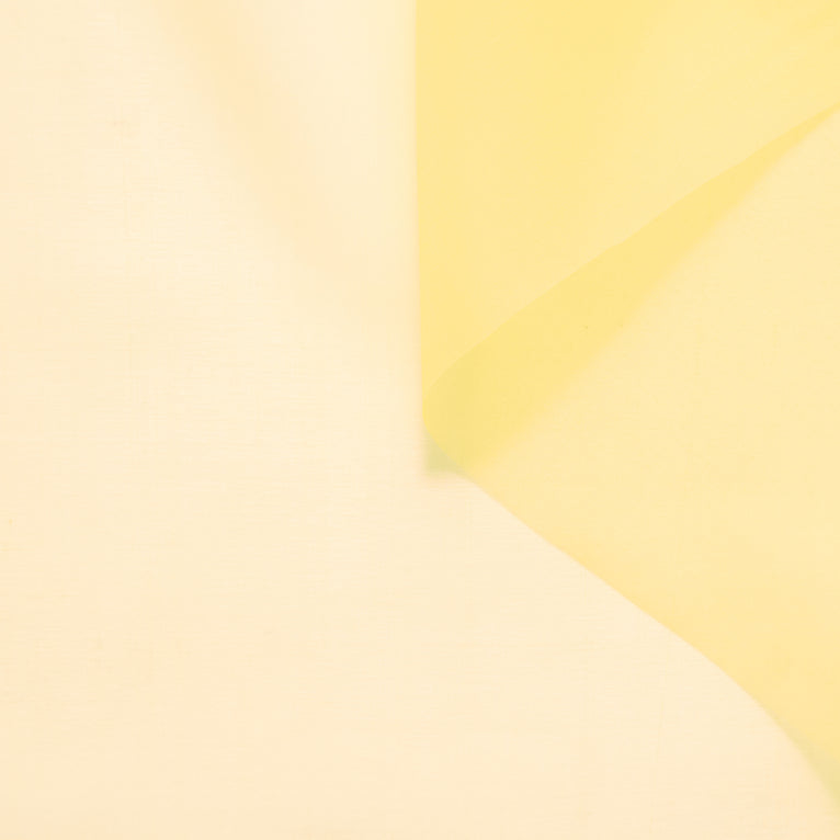T25M12432 | Organza en Soie - vue 2
