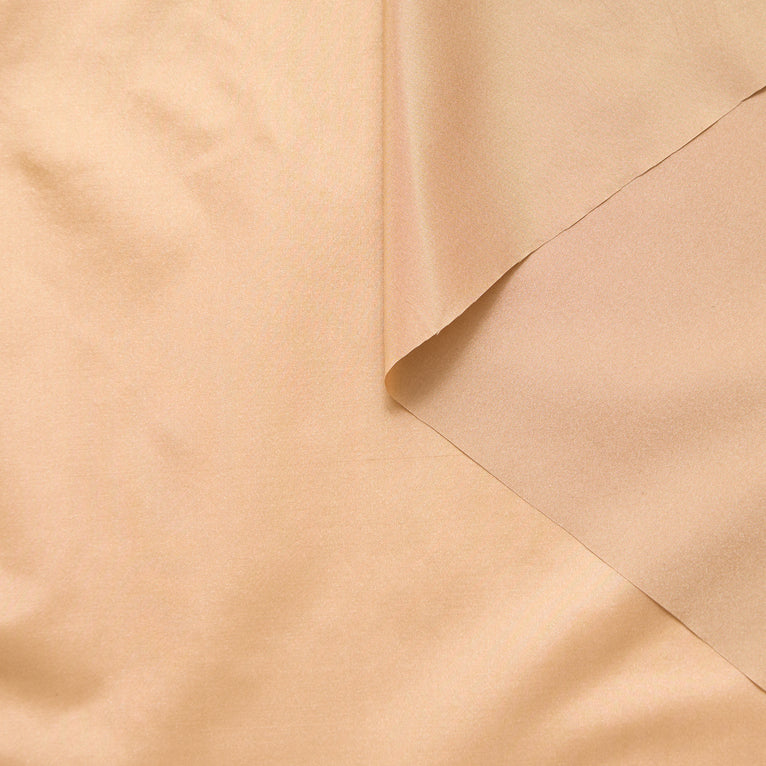 T25M12444 | Silk Taffeta - view 1