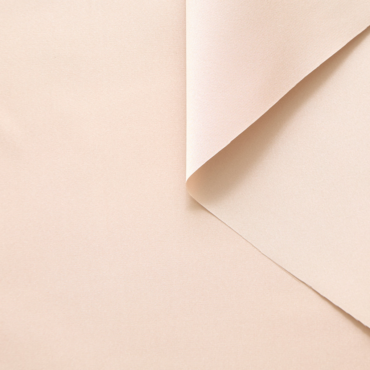 T25M12451 | Double Face Silk Taffeta