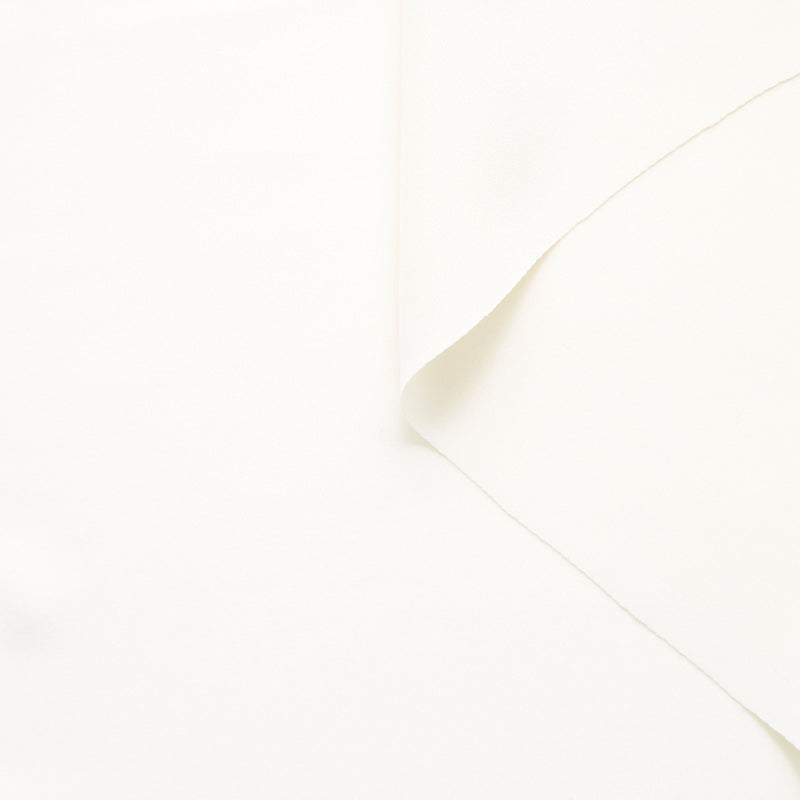 T25M12485 | Crêpe Marocain de Soie