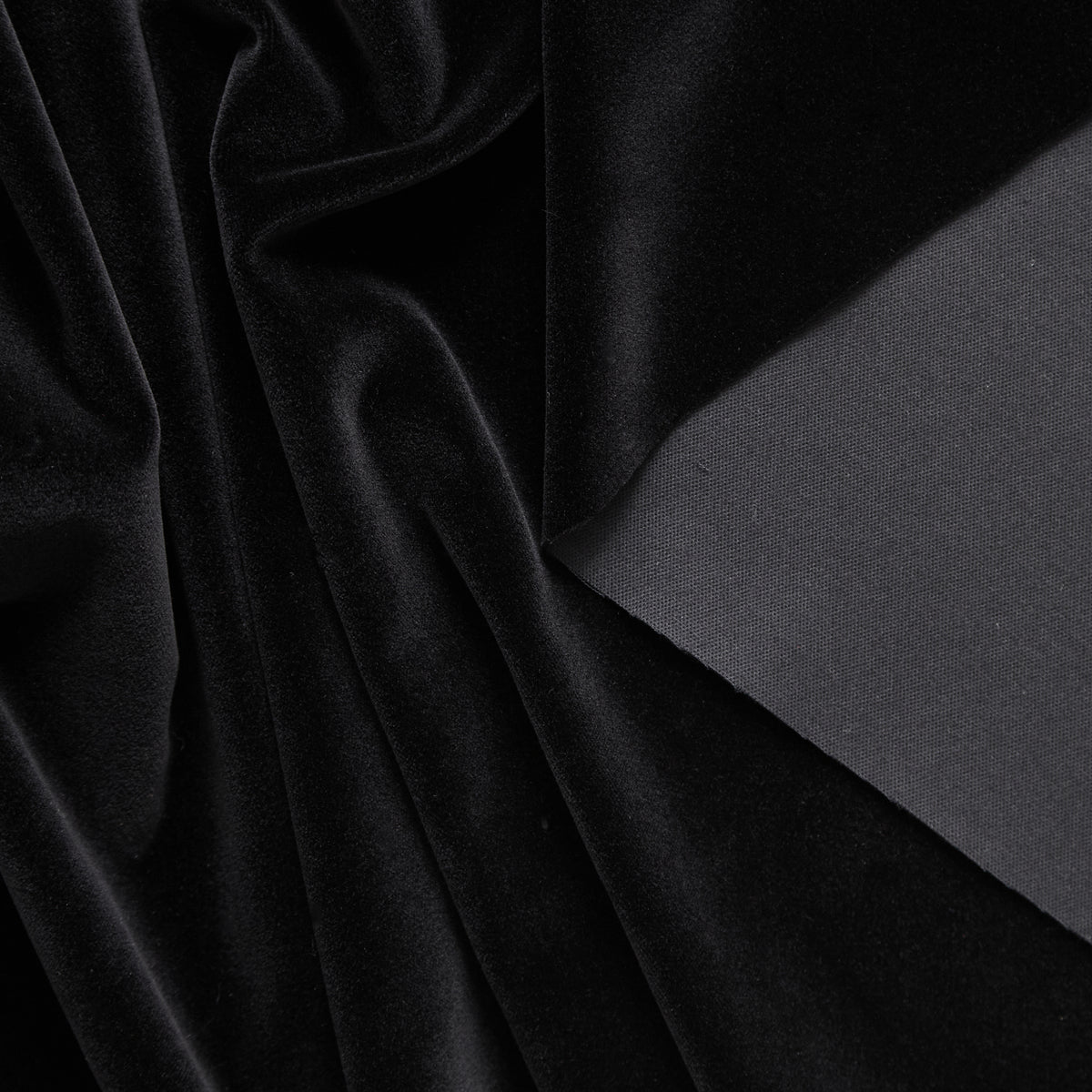 T25M12509 | Velours de Coton