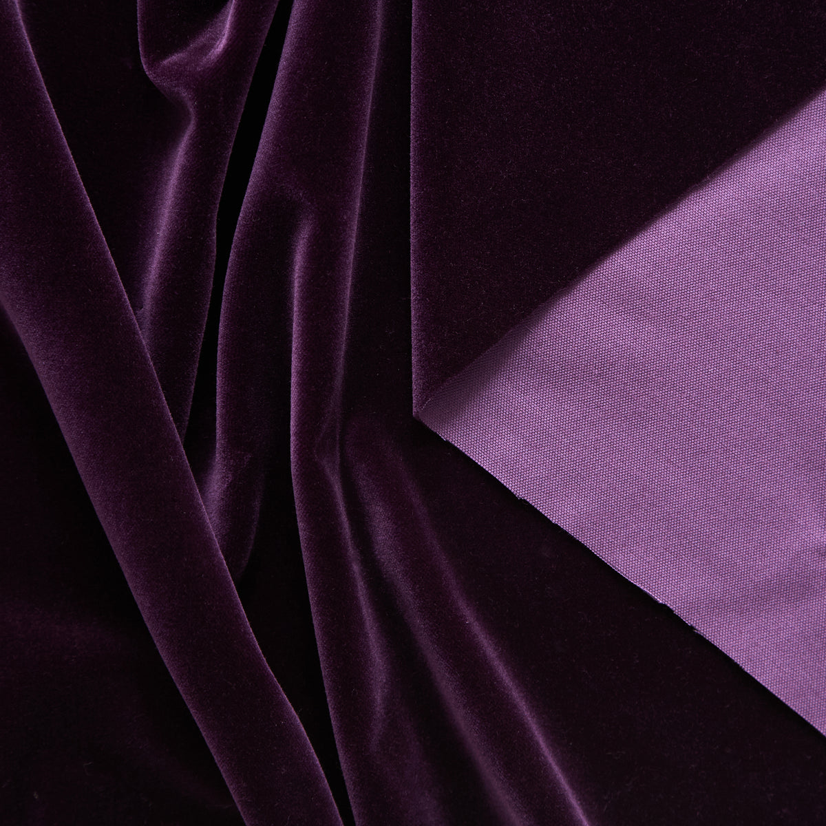 T25M12509 | Velours de Coton