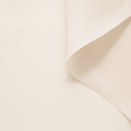 T25M12566 | Gazar de Soie