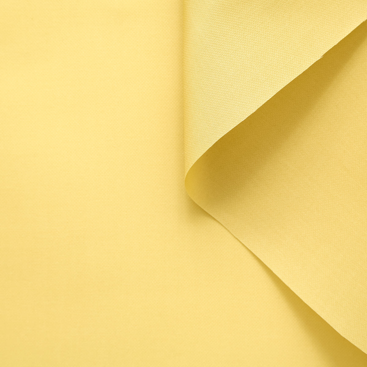 T25M12566 | Gazar de Soie