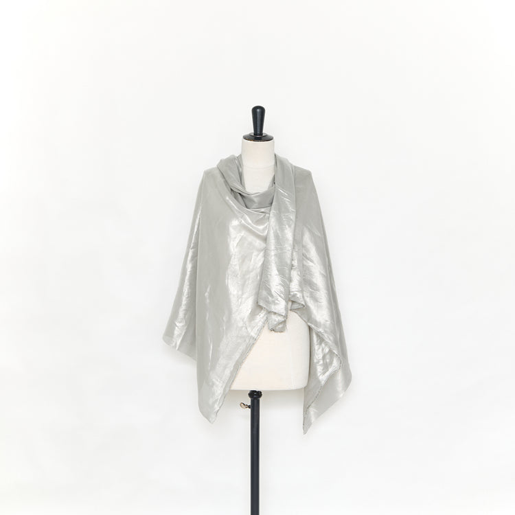 T25M12625 | Voile de Soie Lamé Transparent - vue 2