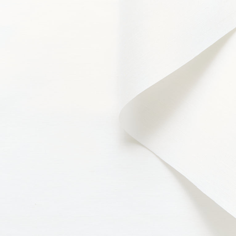 T25M12657 | Organza Shantung en Lin et Soie - vue 4