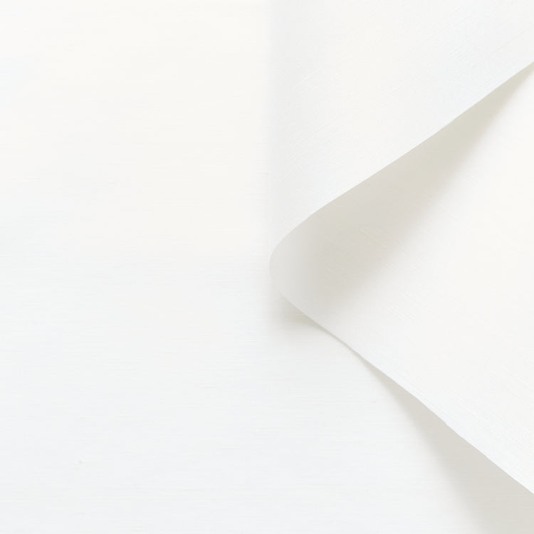 T25M12657 | Silk &amp; Linen Organza Shantung - view 1