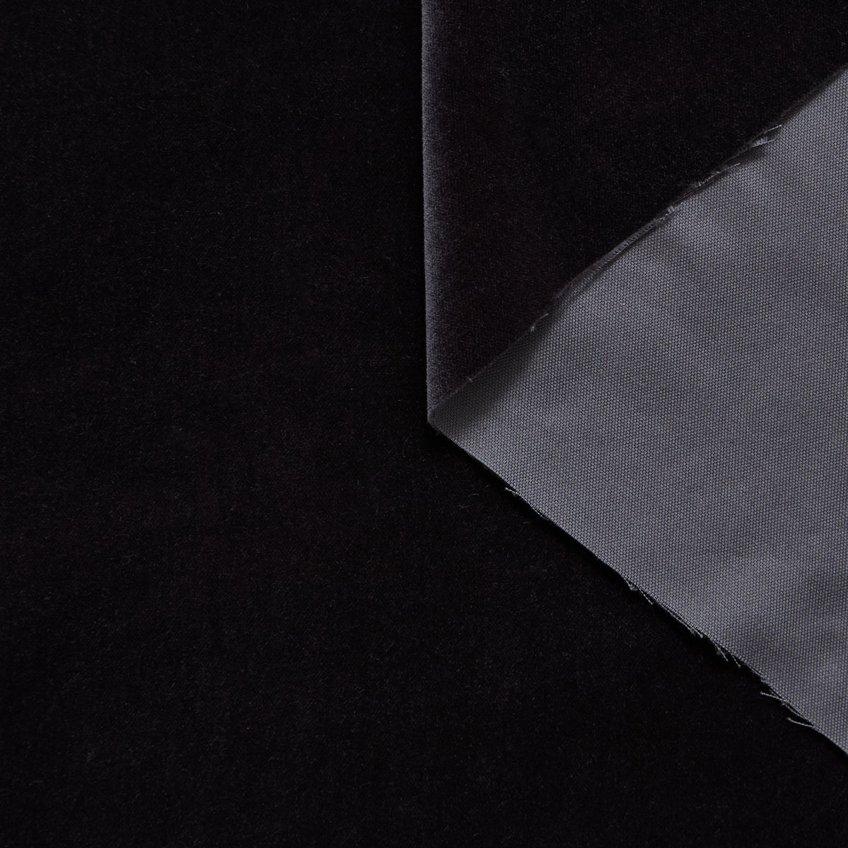 T25M13633 | Velours de Coton