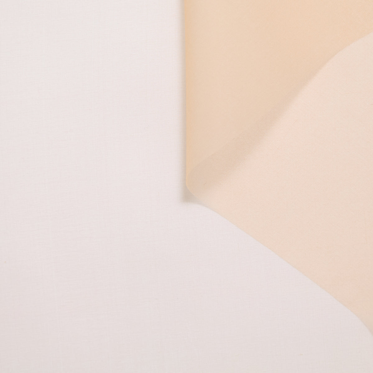 T25M13637 | Organza en Soie