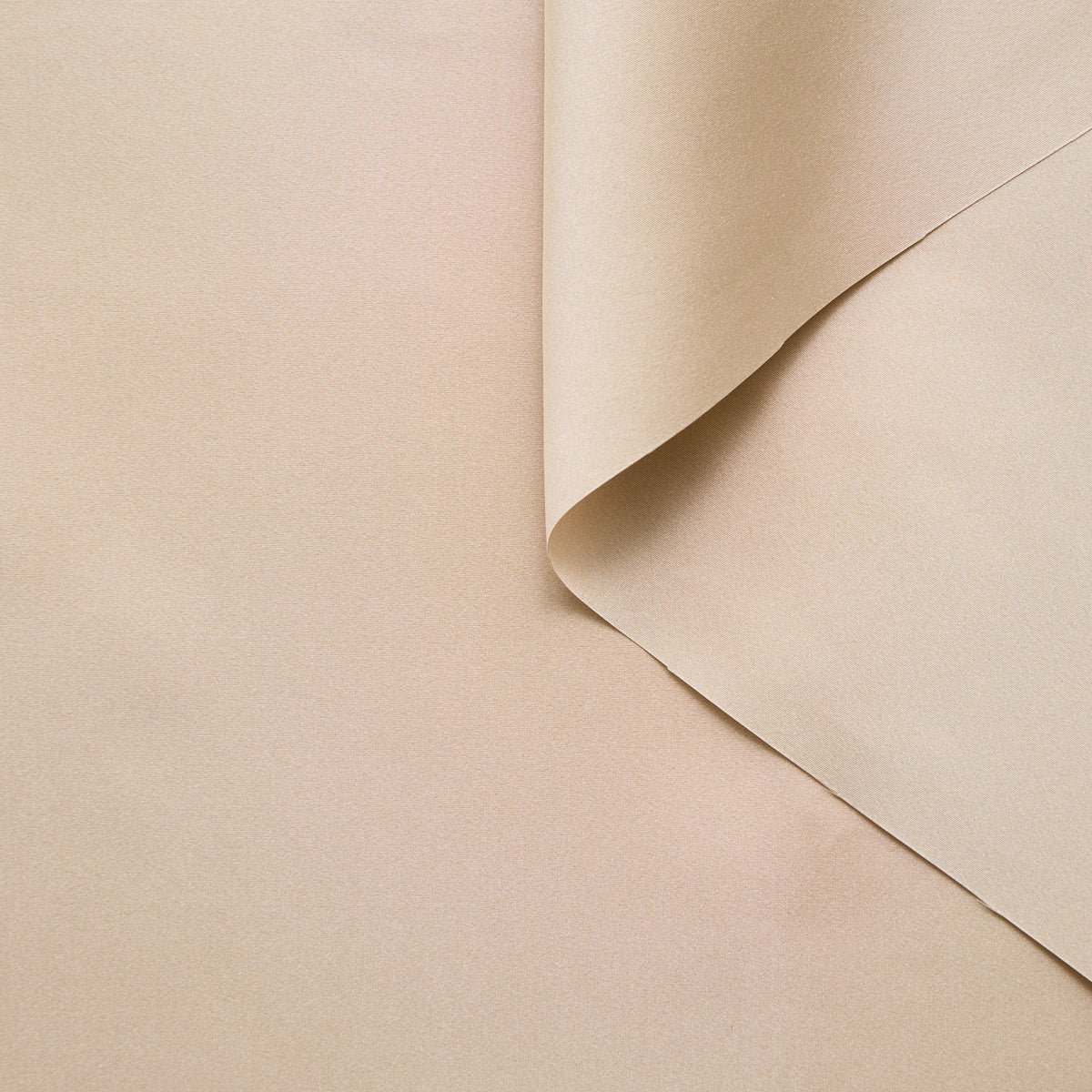 T25M13676 | Mikado de Soie