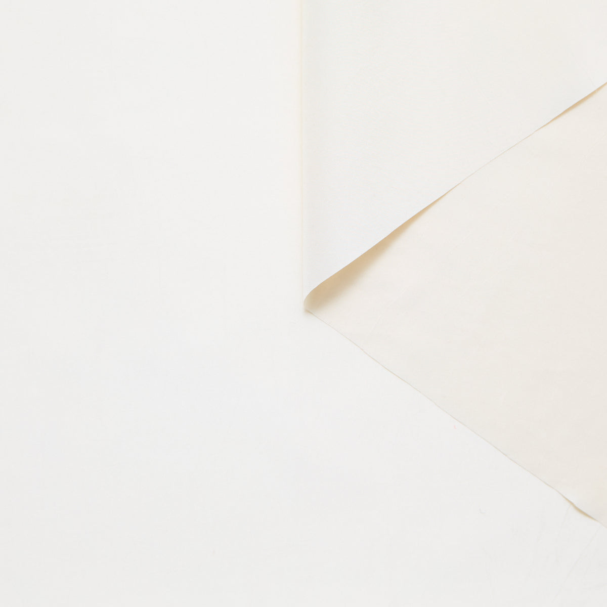 T25M13709 | Taffetas de Soie