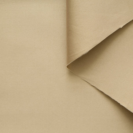 T25M13776 | Radzimir Taffeta