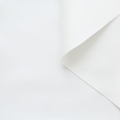  Radzimir Taffeta