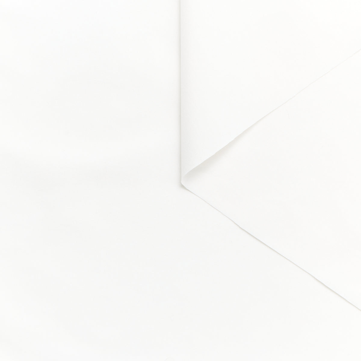 T25M13782 | Poplin en Coton & Soie