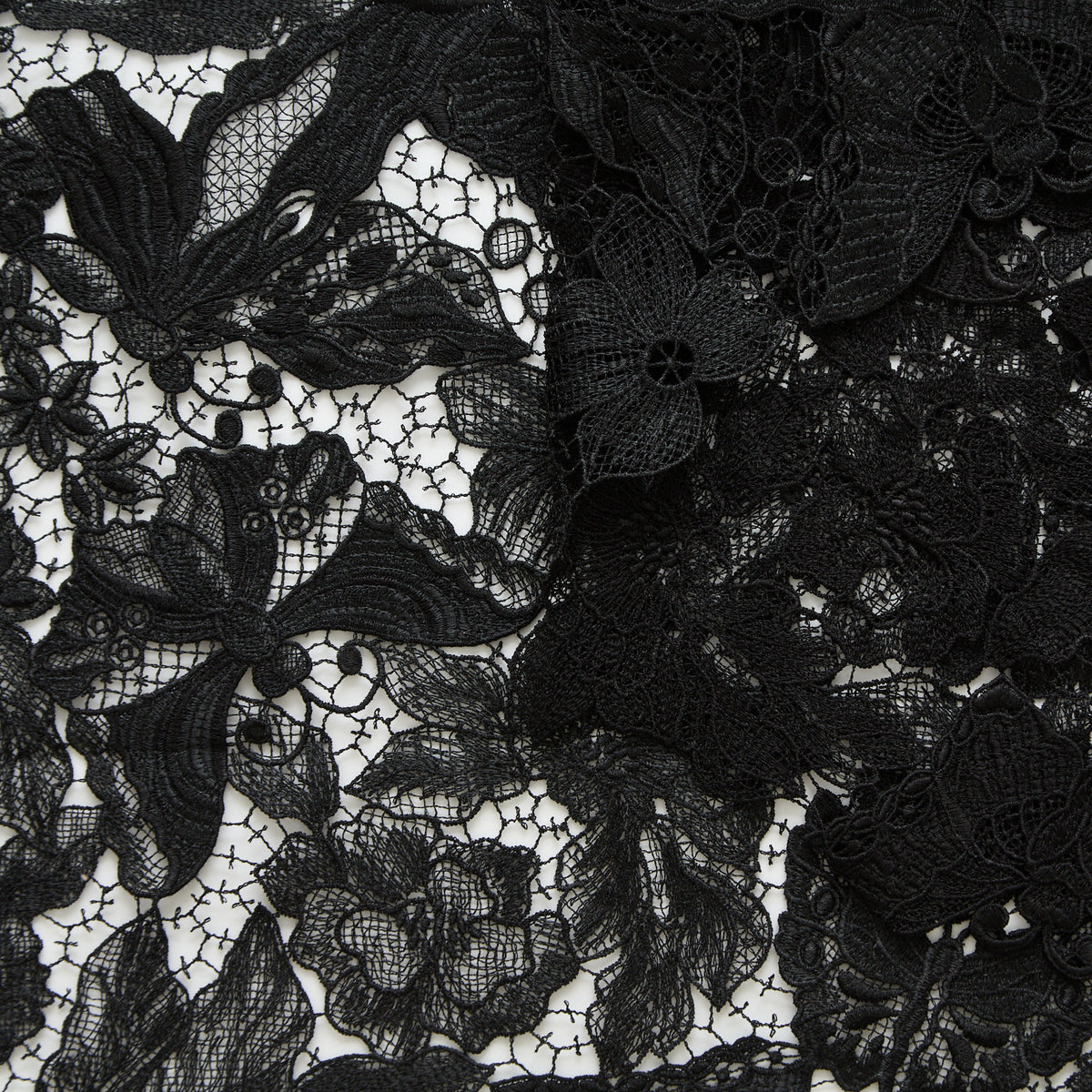 T25M13794 | Guipure Fleurie à Motif Papillon en Coton