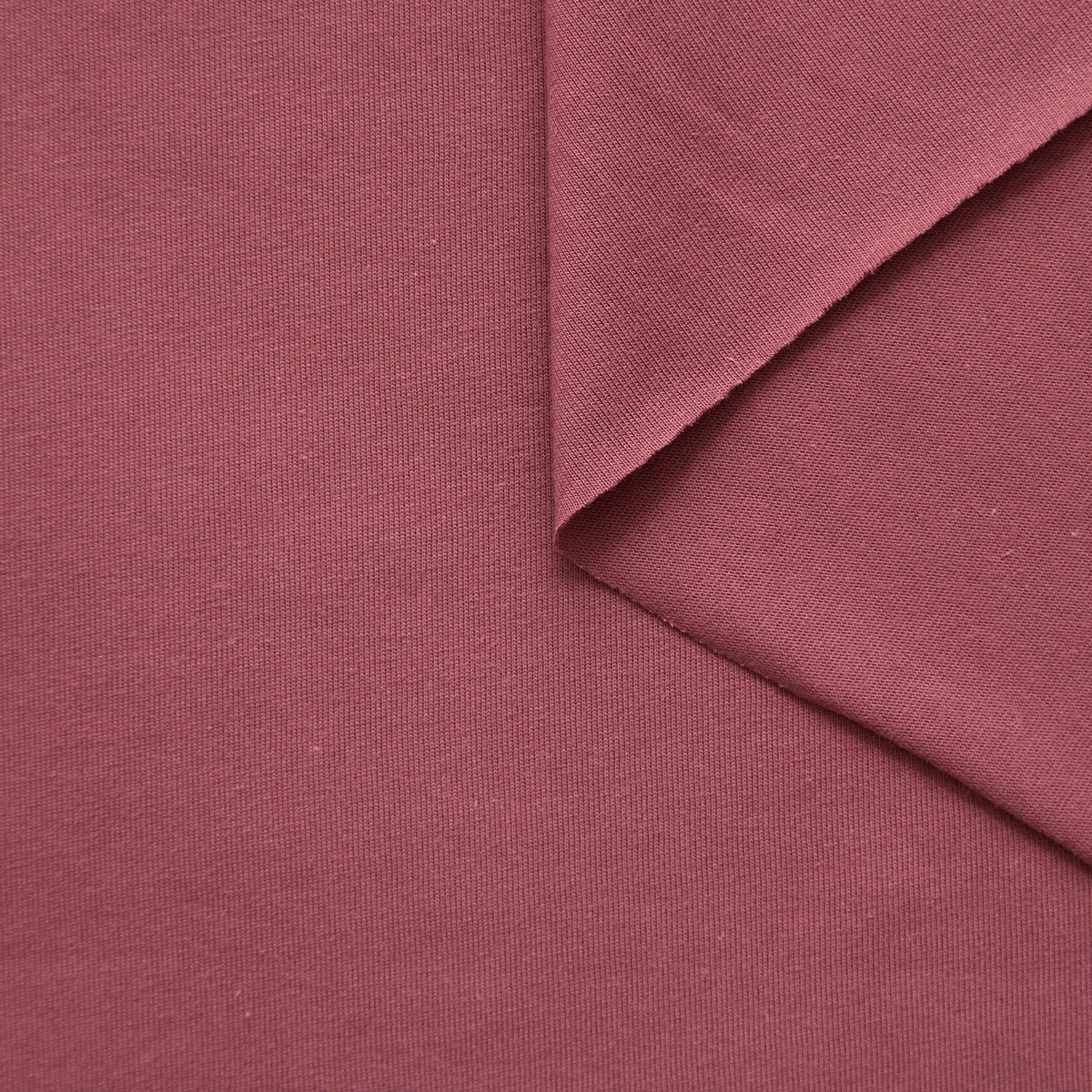T25M14075 | Compact Cotton Jersey