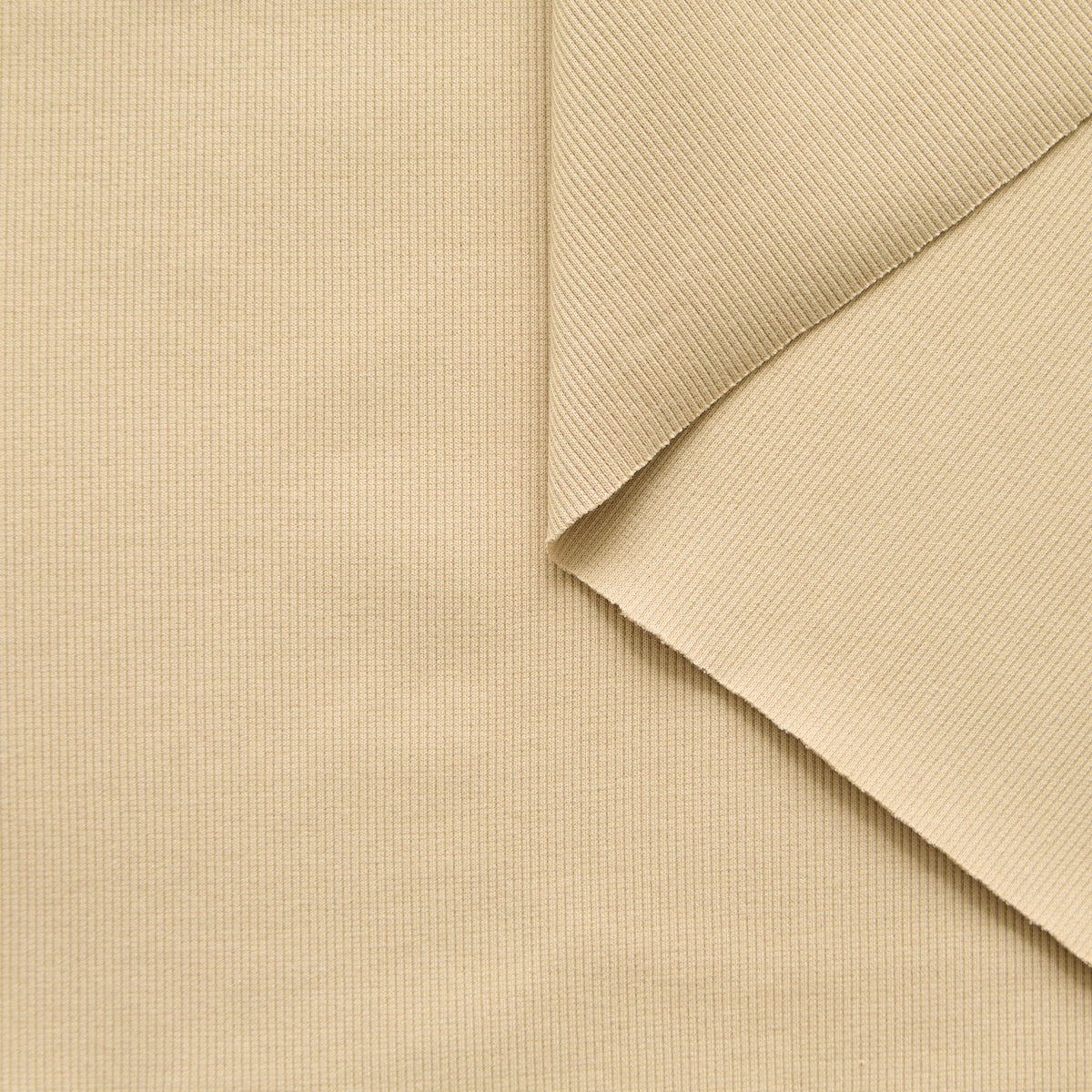 T25M14087 | Rib 2x2 Tricoté et Stretch en Cotton GOTS