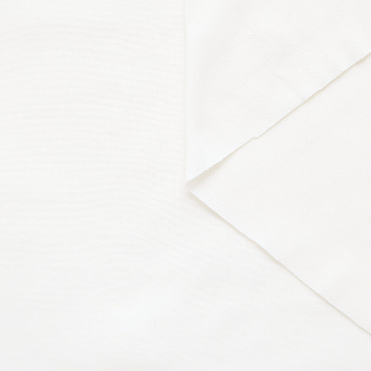 T25M14089 | Jersey de Coton GOTS