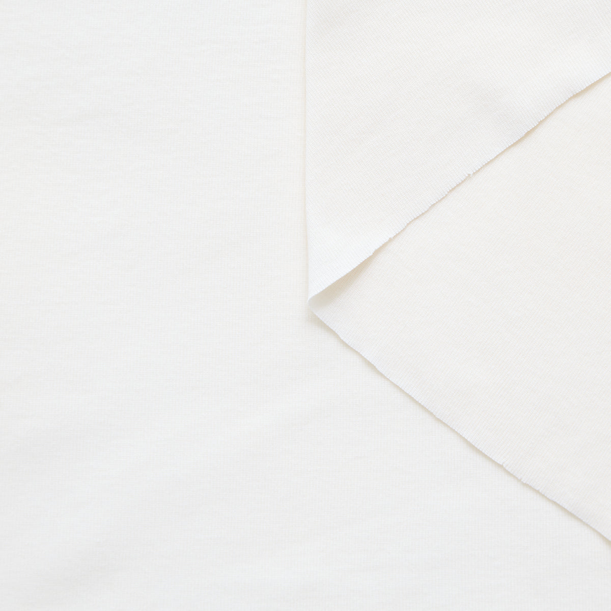 T25M14091 | Jersey de Coton GOTS