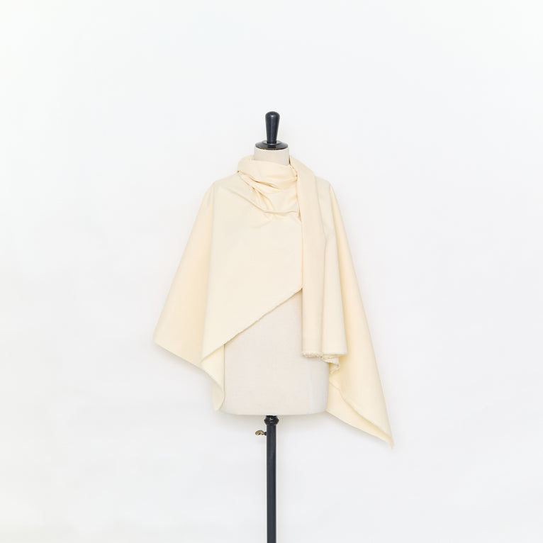 T25M14154 | Cotton Canvas - view 3