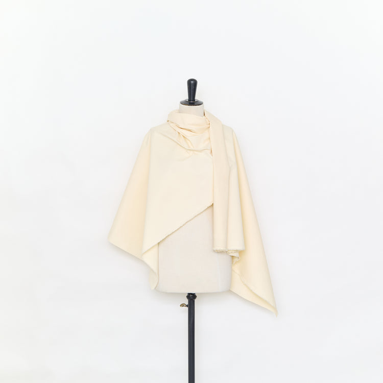 T25M14154 | Cotton Canvas - view 2