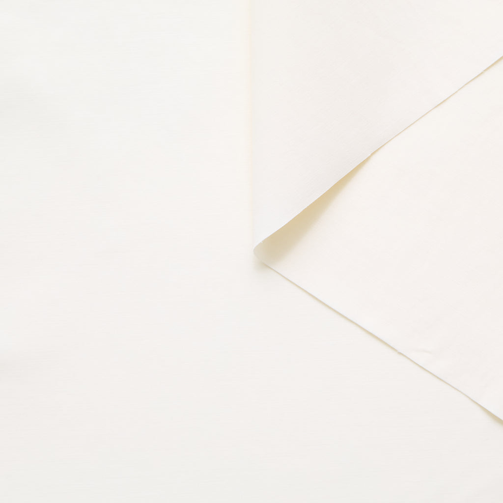 T25M14163 | Emerised Cotton Canvas GOTS