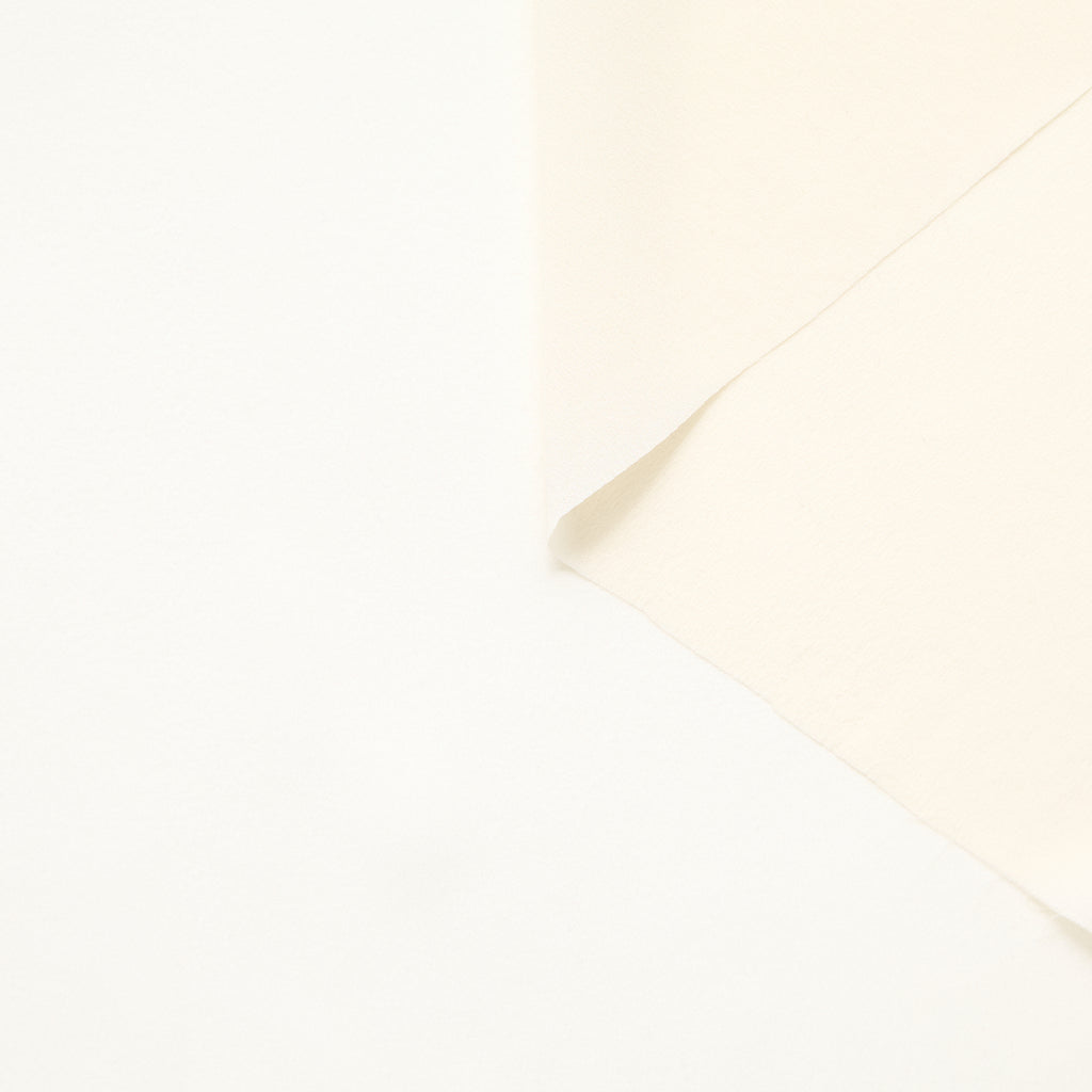 T25M14230 | Silk Georgette