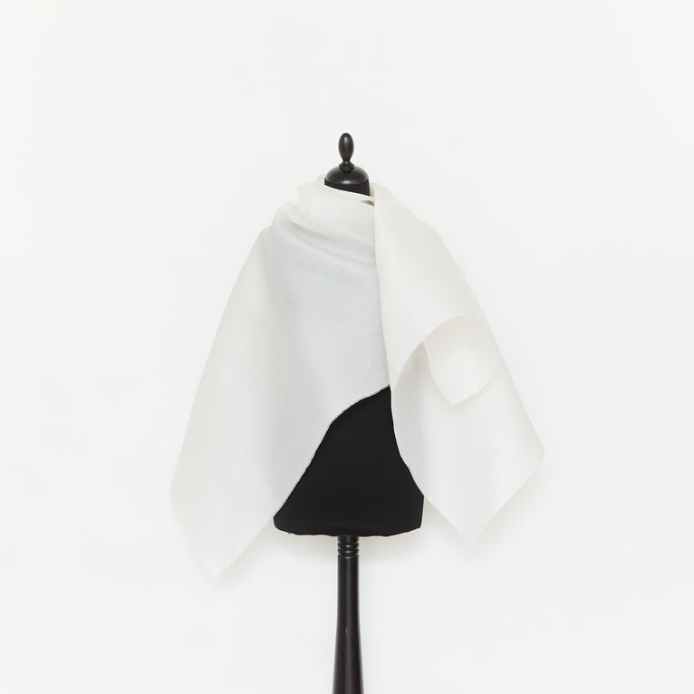 T25M14354 | Silk Gazar - view 2